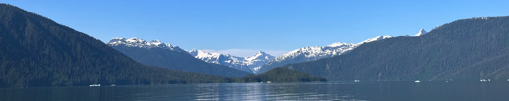 Carolina Dynamical Oceanography Group